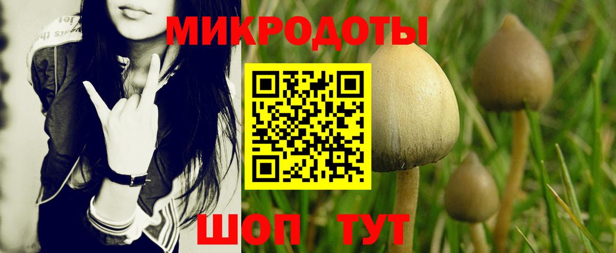 Нарткала  Галлюциногенные грибы прущие грибы  Вход с VPN 